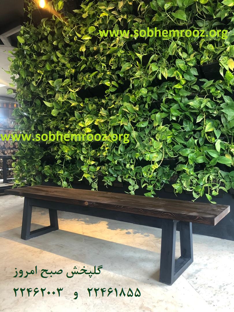 اجرای دیوار سبز