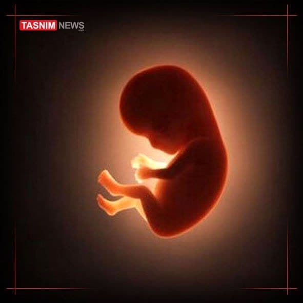 https://s8.uupload.ir/files/%D8%A7%D9%86%D8%AC%D8%A7%D9%85_%DB%B3%DB%B0_0q3l.jpg