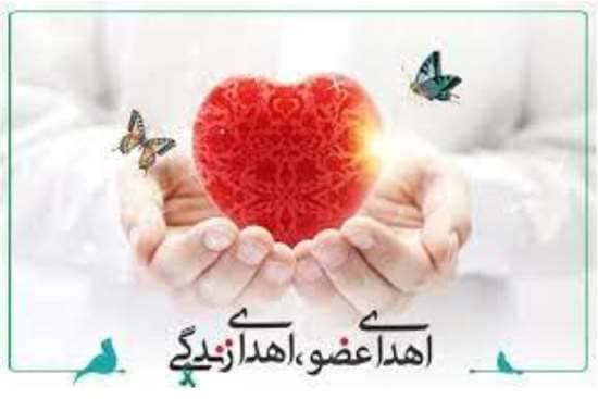 https://s8.uupload.ir/files/%D8%A7%D9%87%D8%AF%D8%A7%DB%8C_%D8%B9%D8%B6%D9%88_qhmc.jpg
