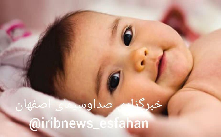 https://s8.uupload.ir/files/%D8%AD%D9%85%D8%A7%DB%8C%D8%AA_%D8%A8%DB%8C%D9%85%D9%87_7x.jpg