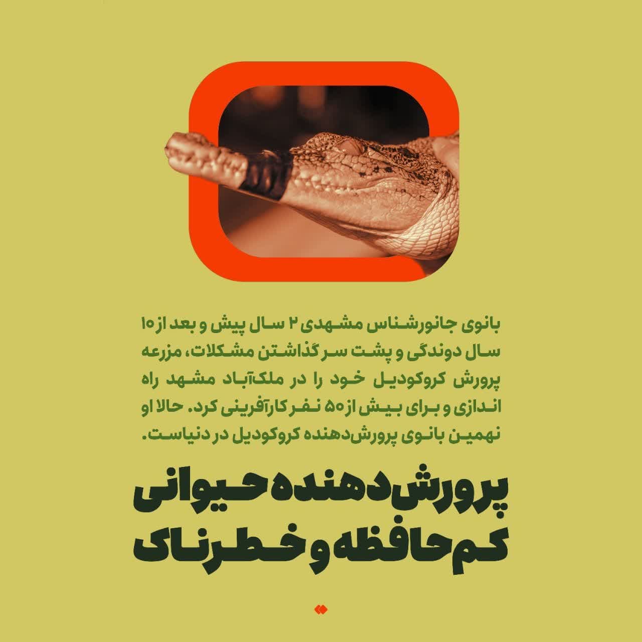 https://s8.uupload.ir/files/%D8%AF%D8%B1%D8%A2%D9%85%D8%AF%D8%B2%D8%A7%DB%8C%DB%8C1_pb8u.jpg