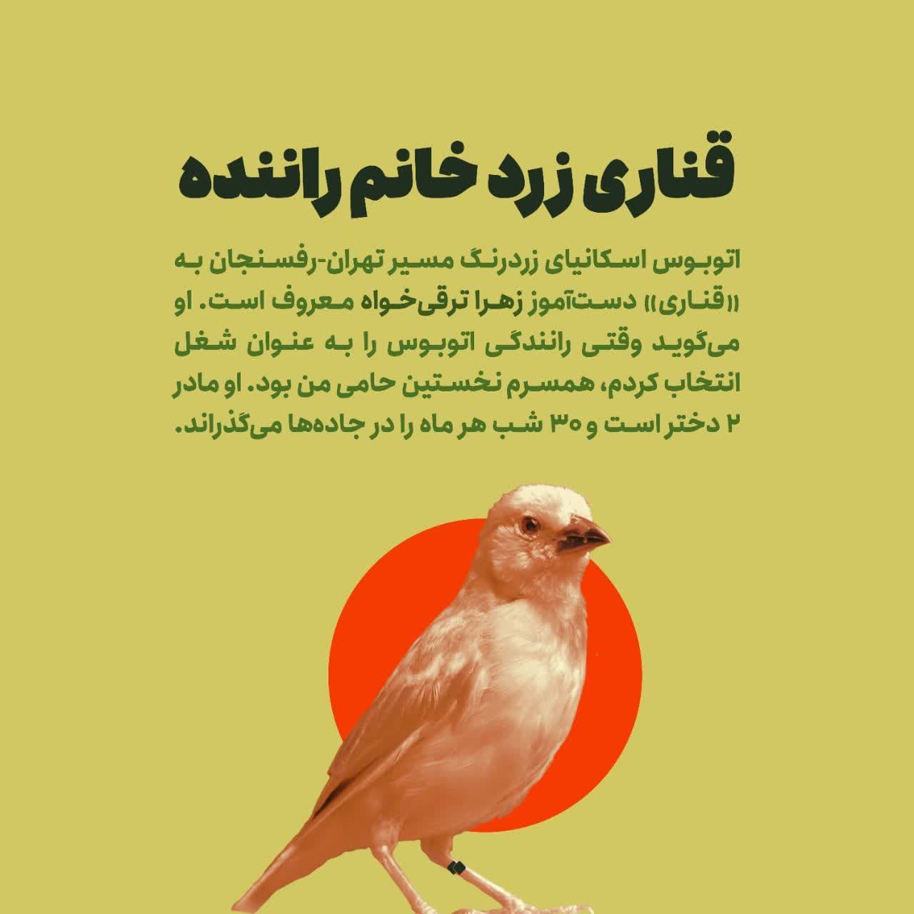 https://s8.uupload.ir/files/%D8%AF%D8%B1%D8%A2%D9%85%D8%AF%D8%B2%D8%A7%DB%8C%DB%8C3_ajtr.jpg