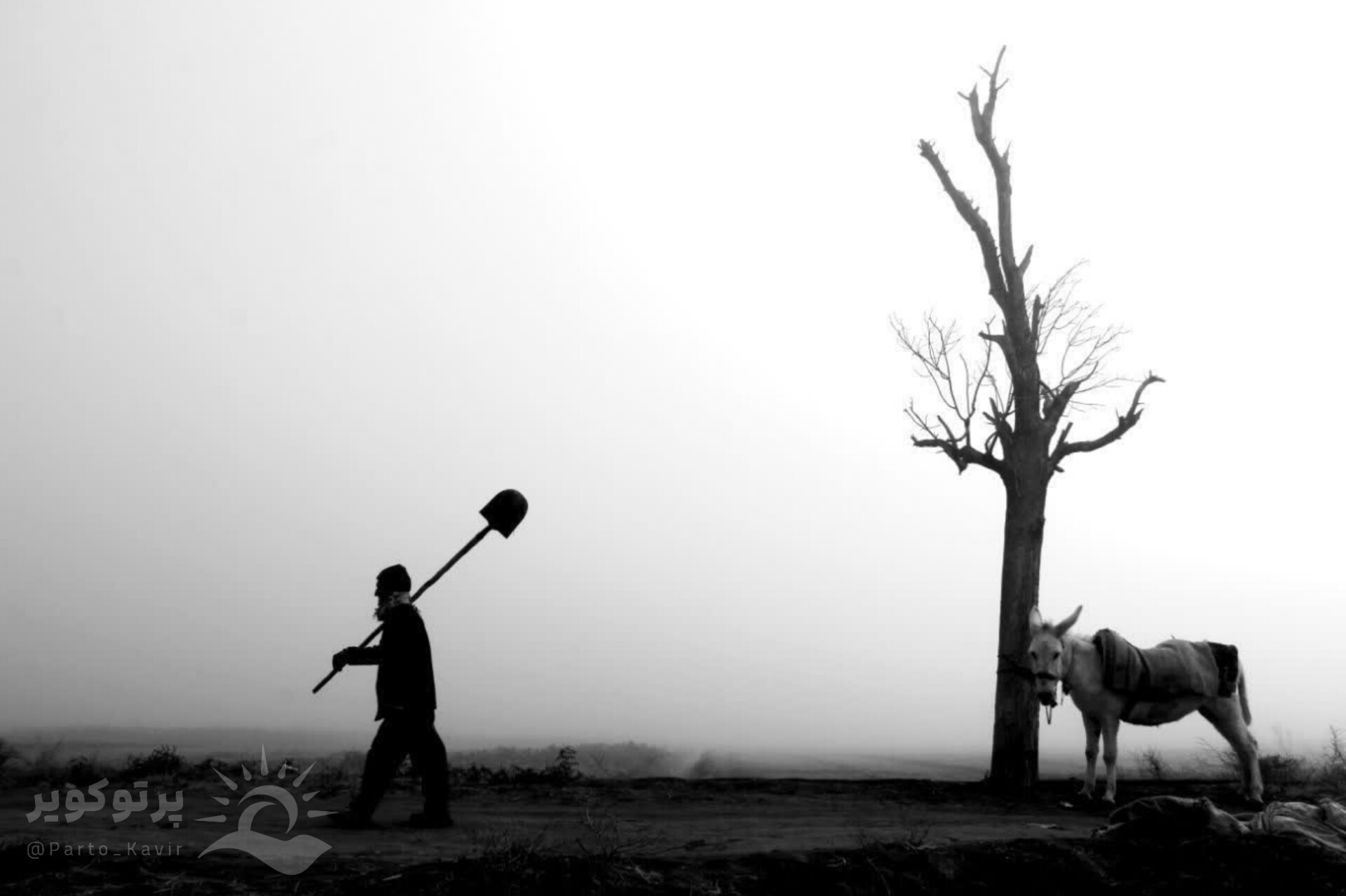 دشت فیض آباد آران و بیدگل