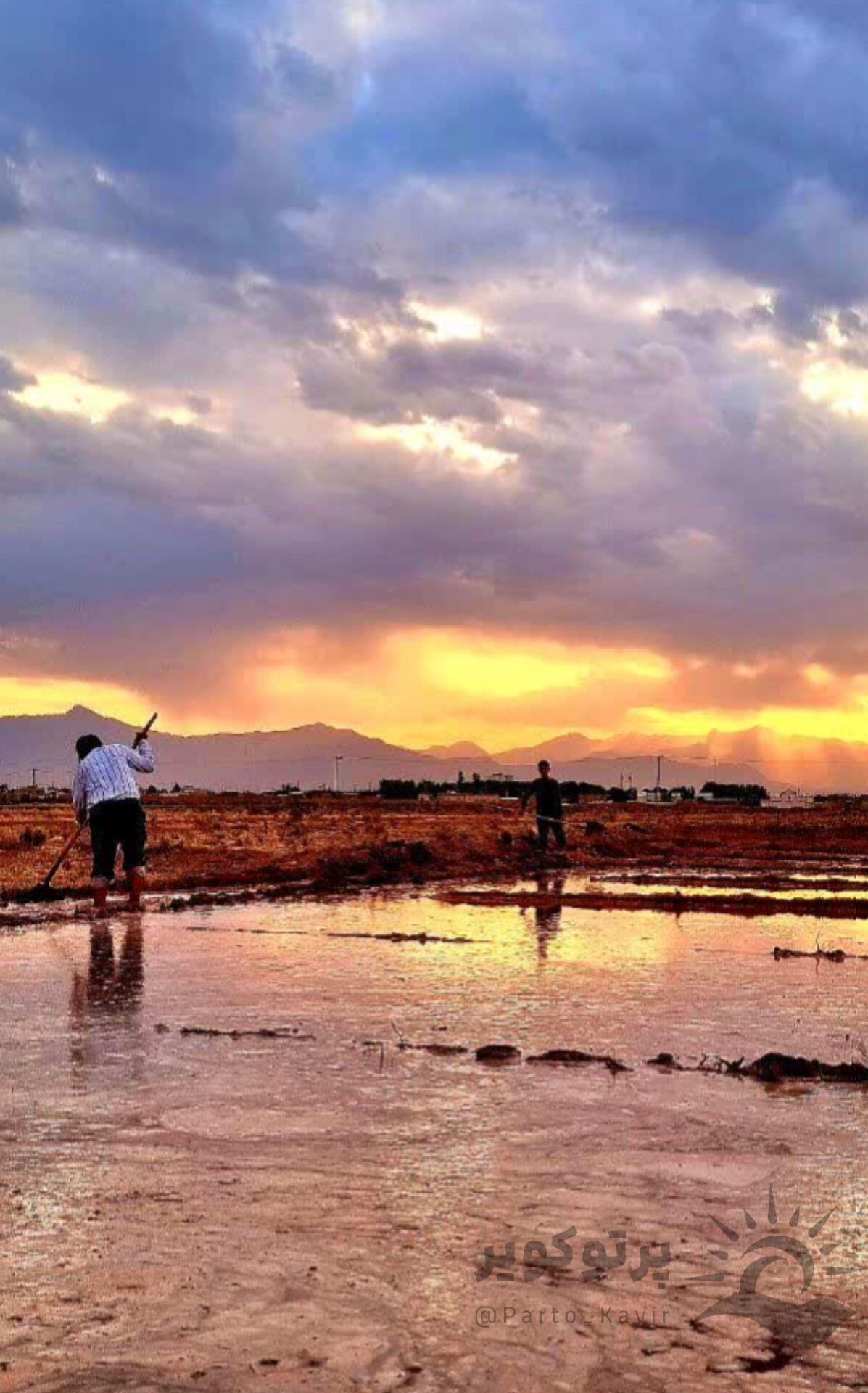 دشت فیض آباد