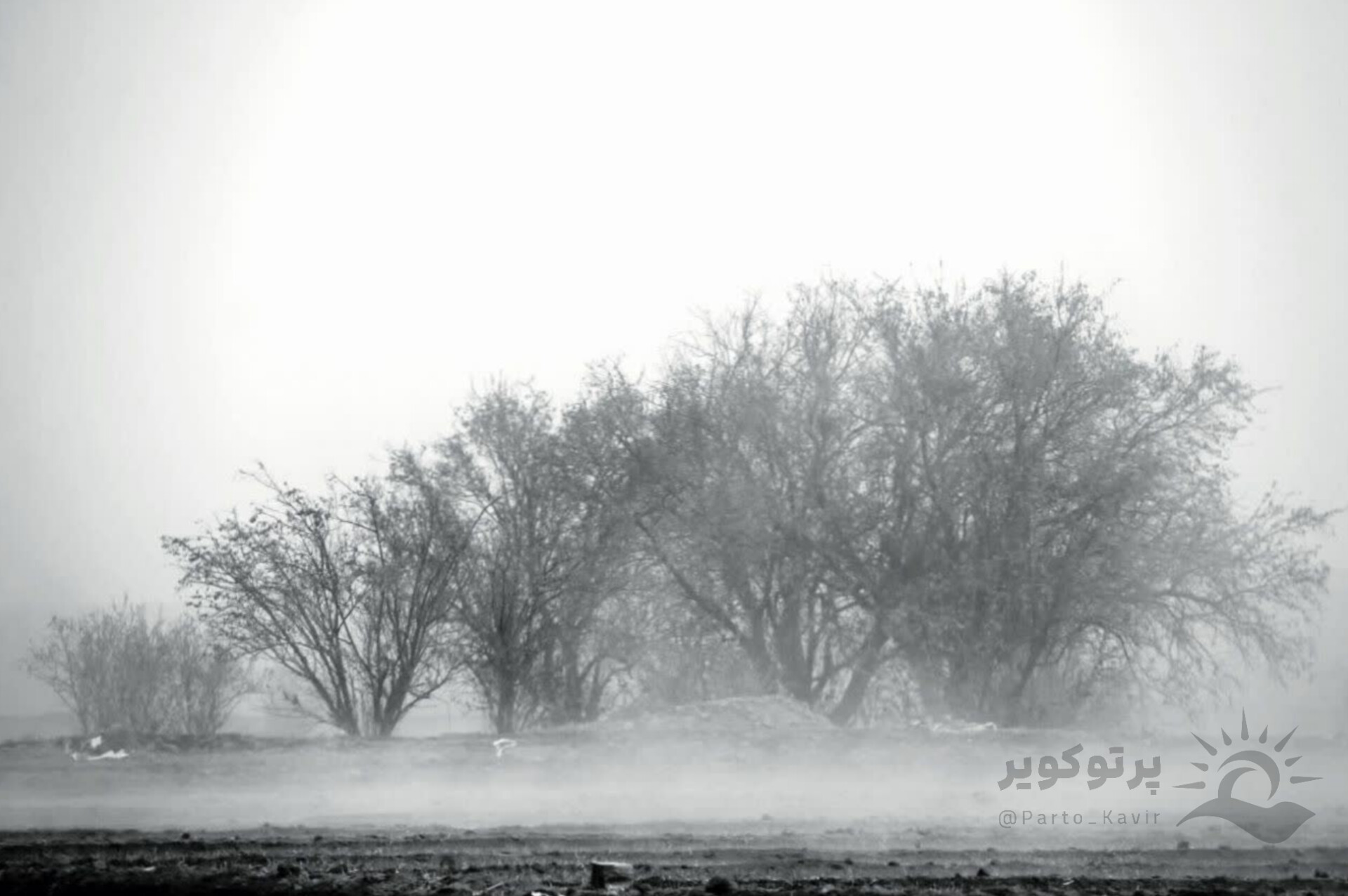 دشت بهشتیه آران و بیدگل صبحگاهان یک روز زمستانی