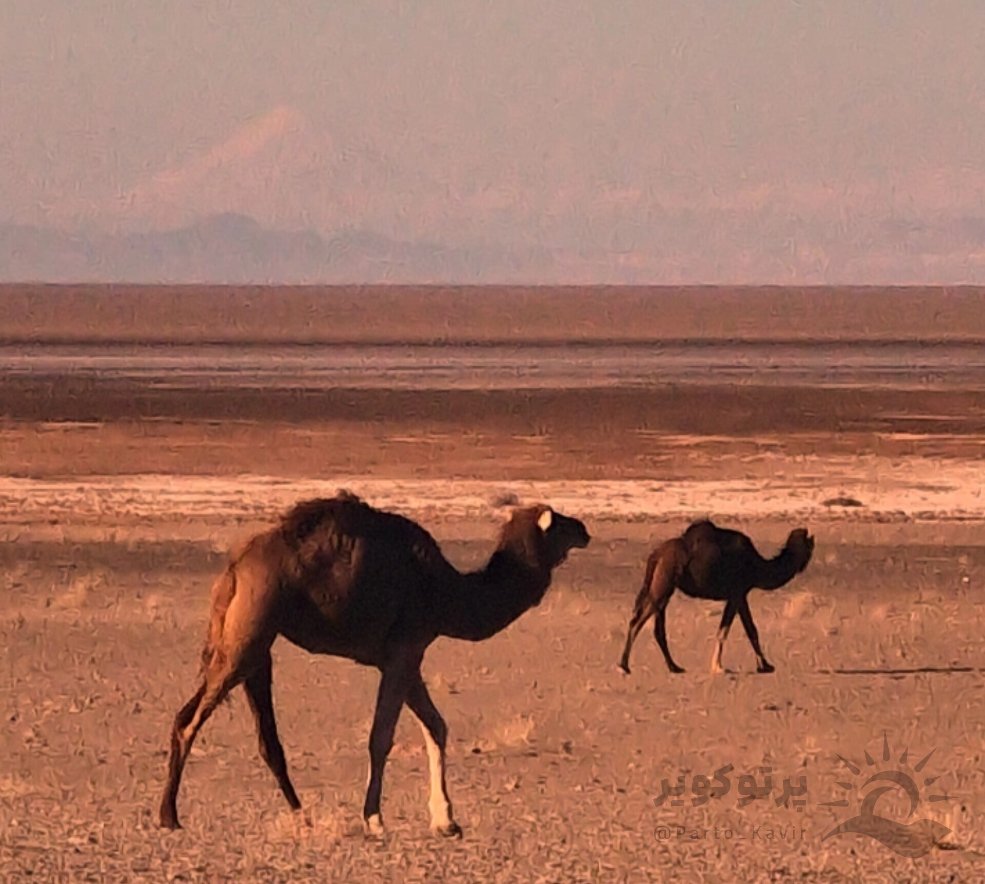 چشم انداز دماوند از کویر مرنجاب