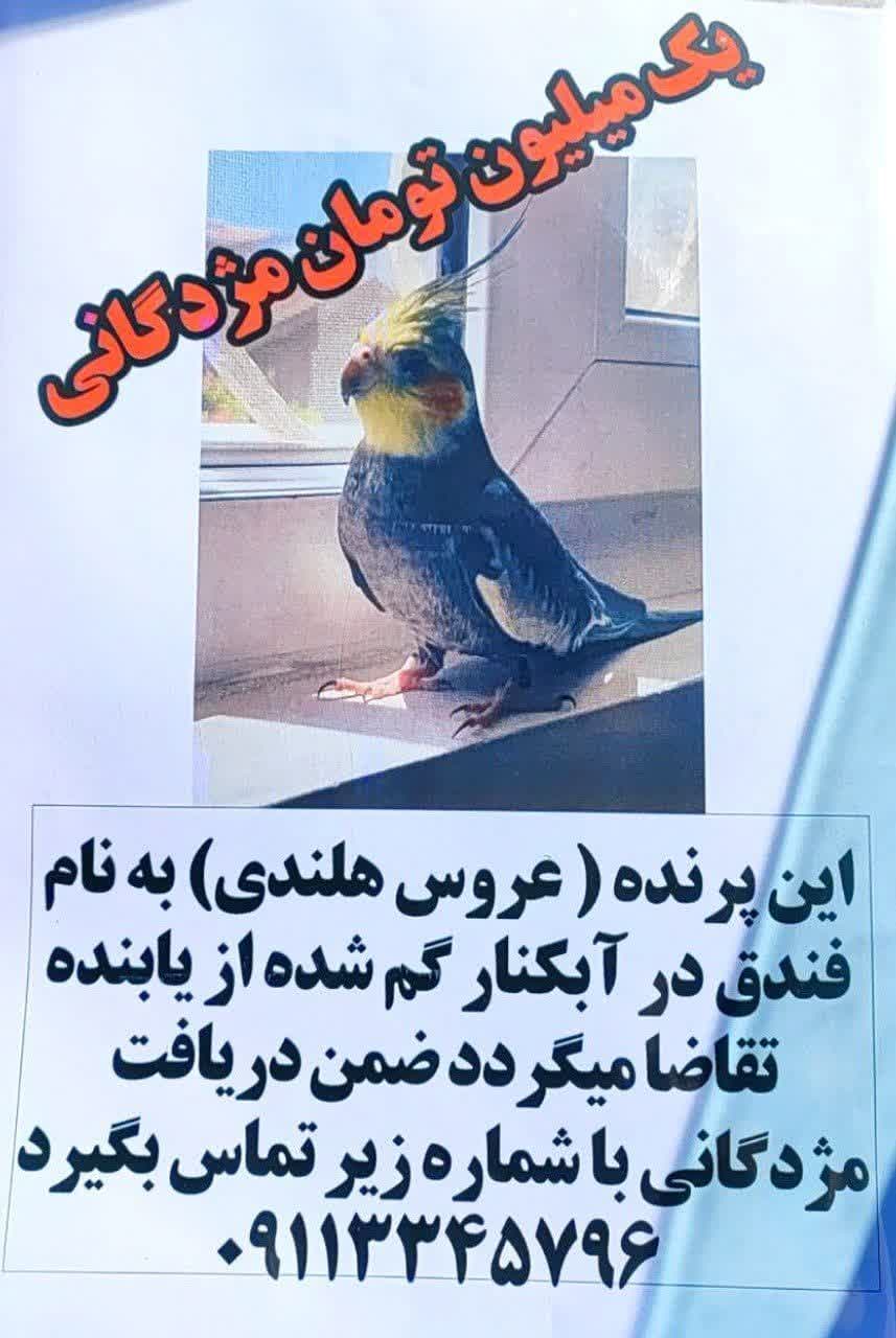 https://s8.uupload.ir/files/%DB%8C%DA%A9_%D9%85%DB%8C%D9%84%DB%8C%D9%88%D9%86_0lar.jpg