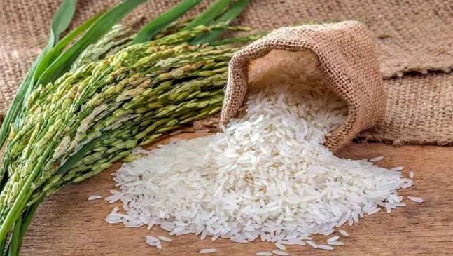 ناکامی طرح خرید برنج سنواتی به‌دلیل بدعهدی دولت/ تلاطم در بازار برنج به‌دلیل آشفتگی تصمیمات