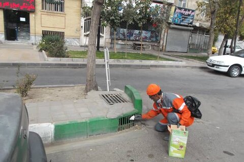  آغاز طرح طعمه‌گذاری و پاکسازی حیوانات موذی از سطح شهر