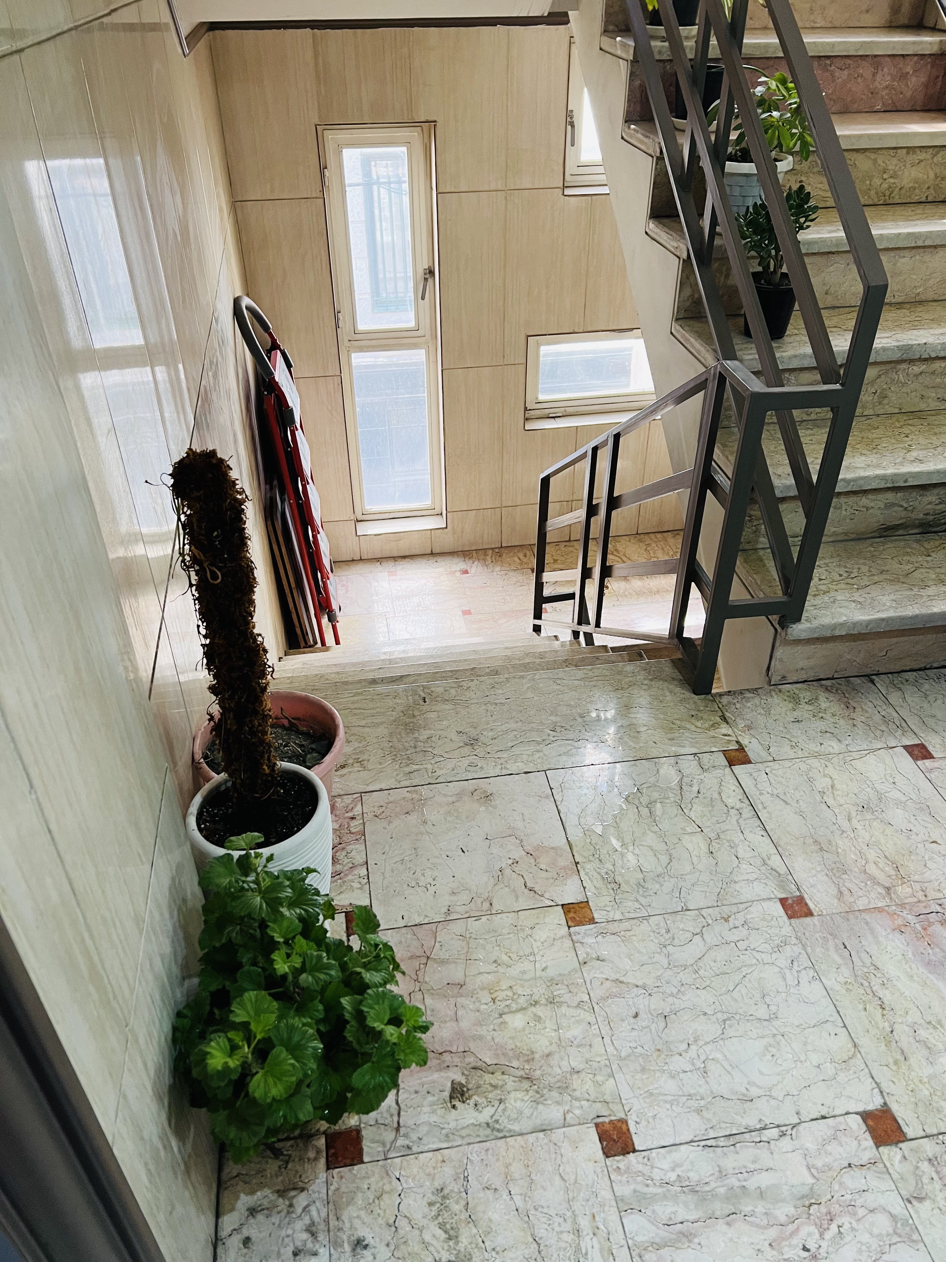 [تصویر:  18aff494-927d-401a-a990-34280c4af345_fc65.jpeg]
