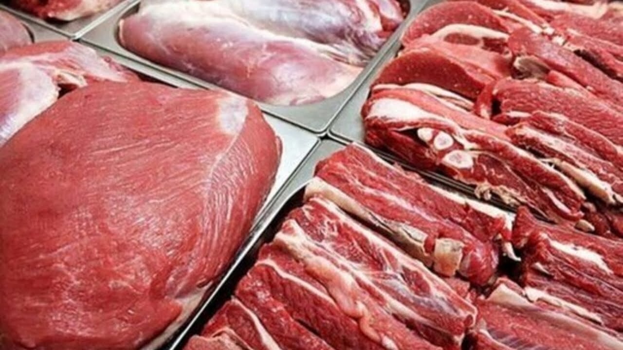 واردات روزانه ۲۵۰ تن گوشت گرم از ابتدای سال