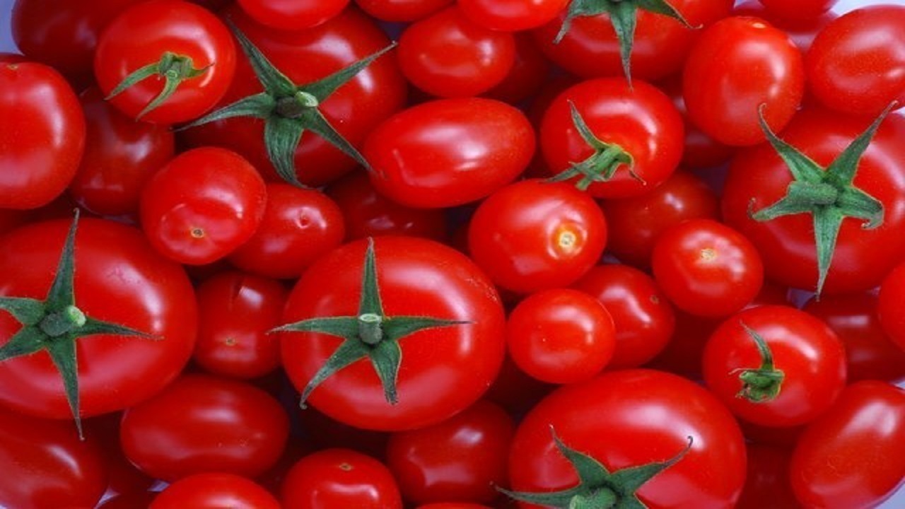 علت نوسانات گوجه فرنگی و پیاز به مبدا بازمی‌گردد
