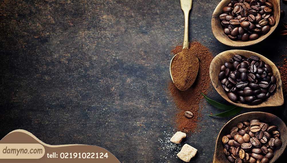 راهنمای جامع انواع دانه قهوه + معرفی انواع دان قهوه روبوستا، عربیکا، روبوستا و اکسلسا