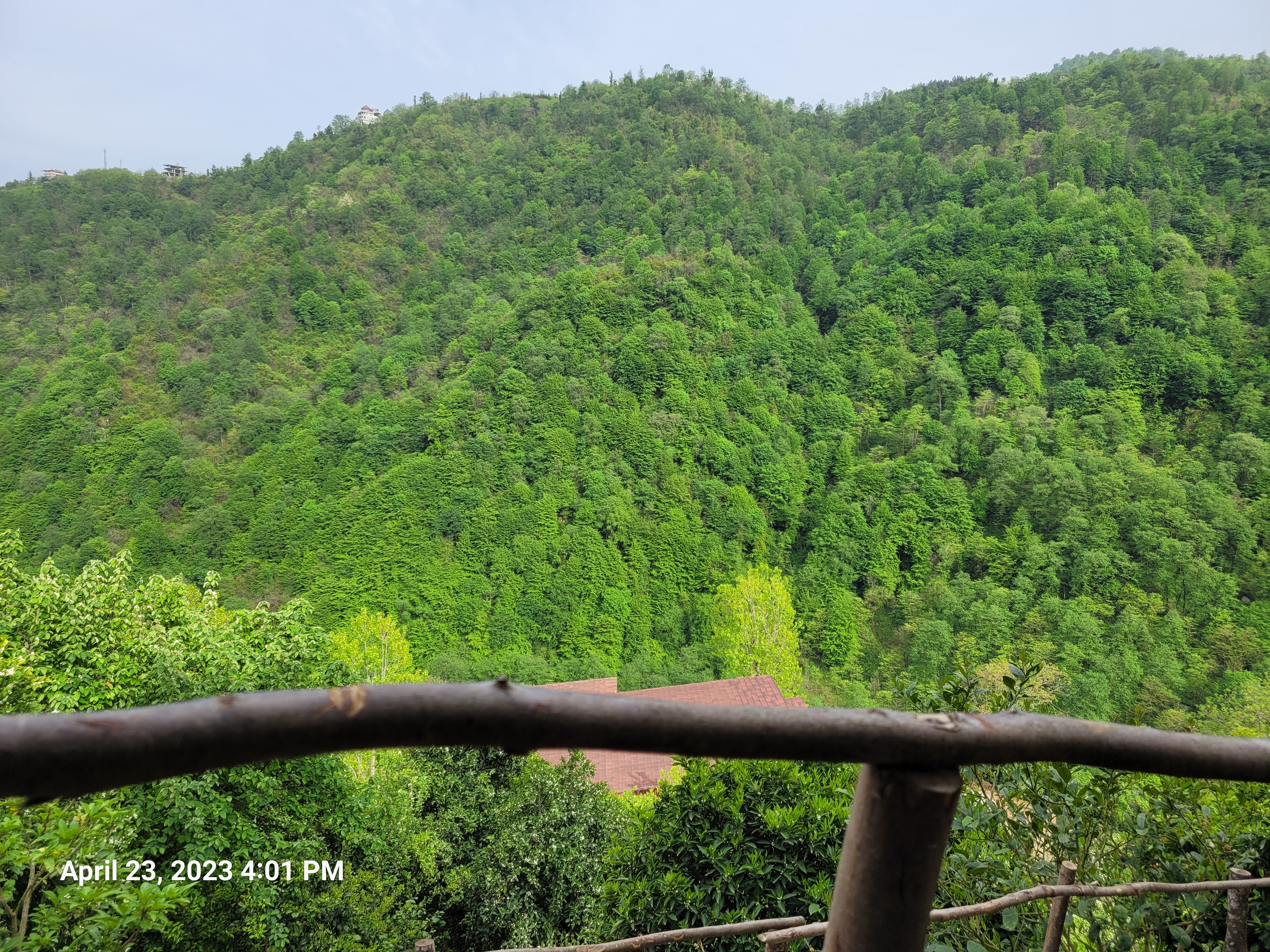 [تصویر:  20230423_160114_c45l.jpg]