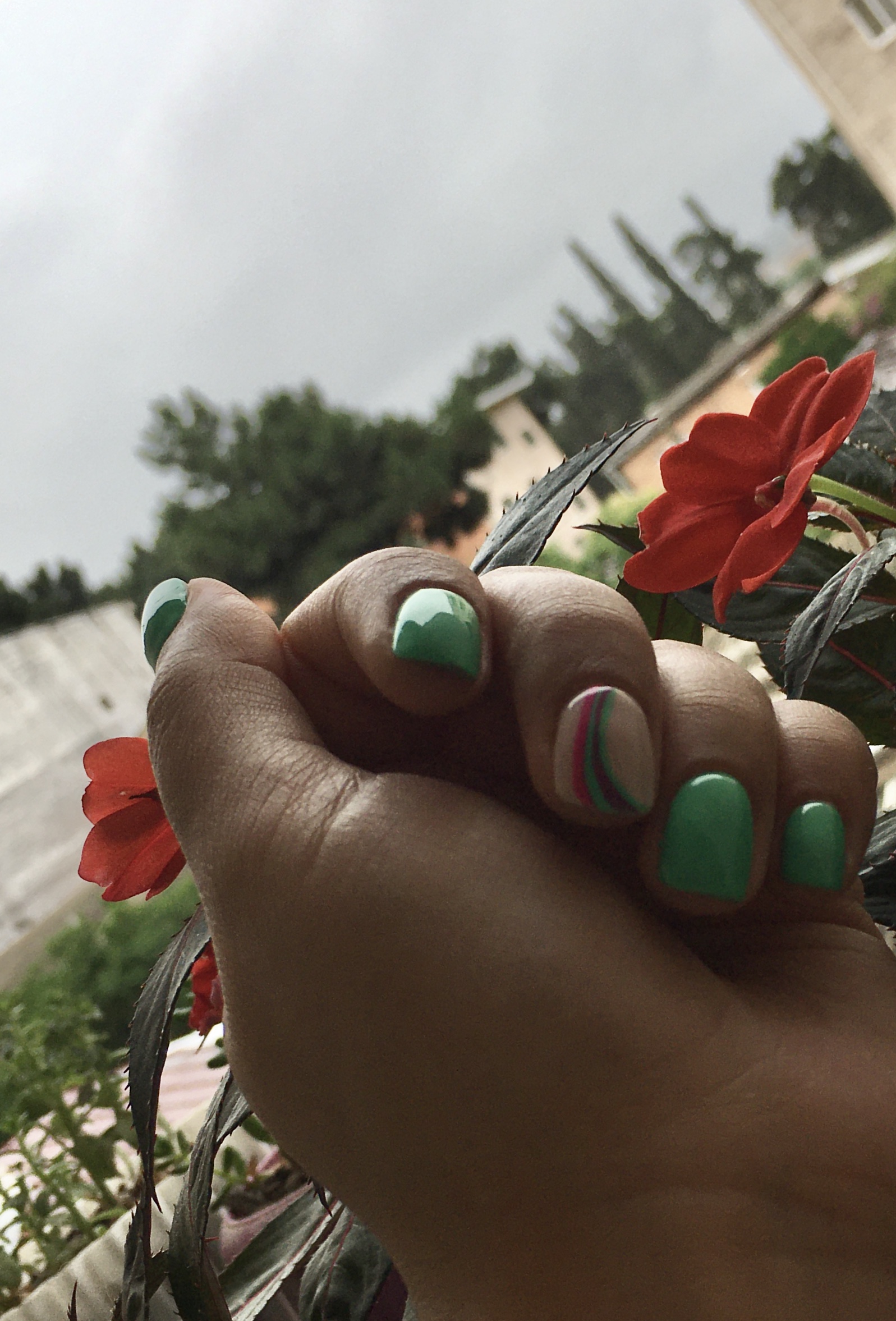 [تصویر:  2eb68b86-6858-49e5-b9ad-b119ff2a5336_0cxw.jpeg]