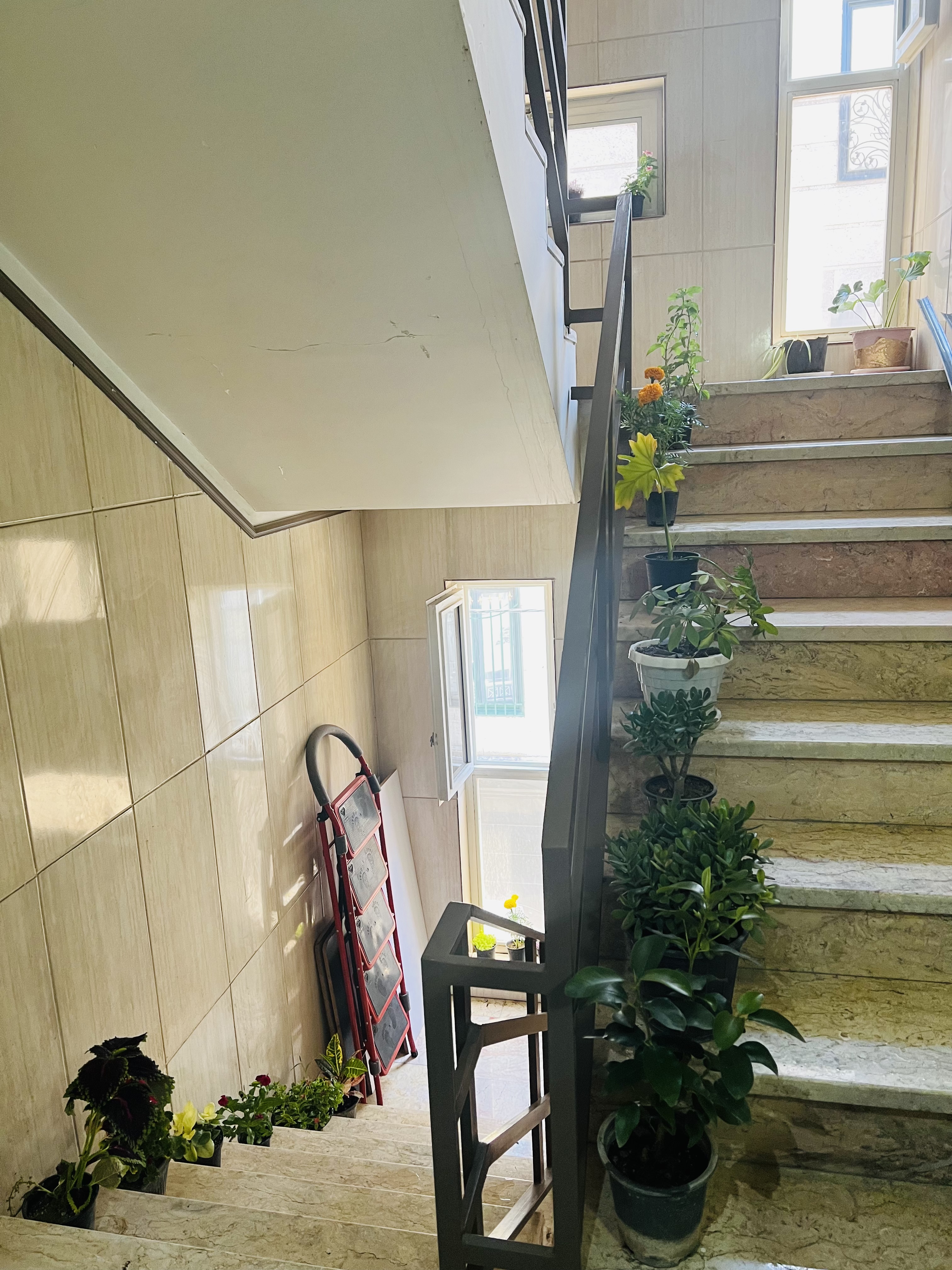 [تصویر:  5e6f65d1-f8ff-446d-ac27-03089d98ac4c_re1m.jpeg]