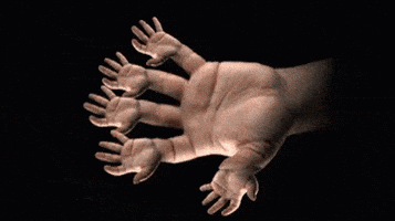 651d0502e342a_qma7.gif