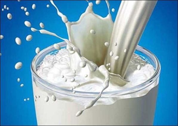 تولید شیرخام تا سال آینده به مرز ۱۵ میلیون تن می‌رسد