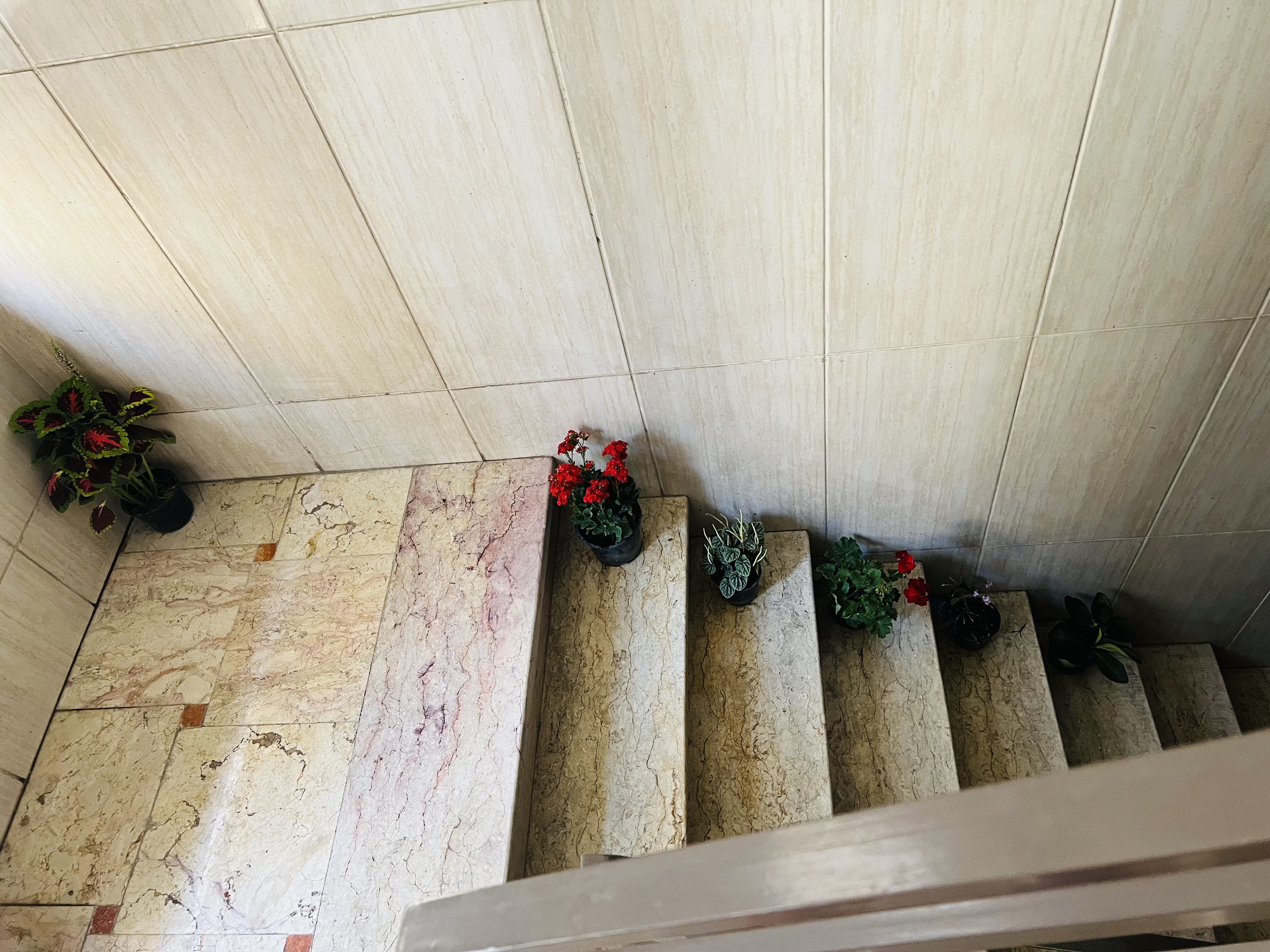 [تصویر:  943fd429-d49d-4c1c-8aeb-930572e8ea36_kbyw.jpeg]