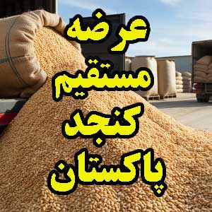 قیمت عمده کنجد پاکستان - بهترین قیمت کنجد برای صنایع غذایی