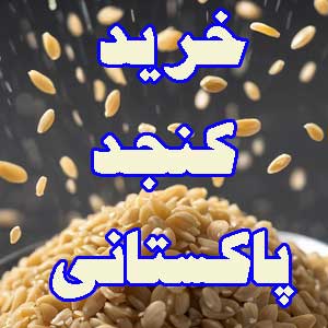 کنجد پاکستانی با کیفیت بالا