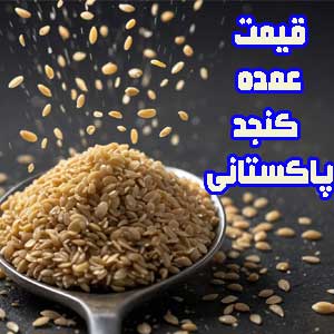 قیمت کنجد پاکستانی عمده