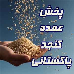 خرید کنجد پاکستانی
