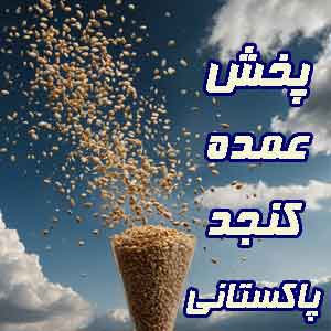 خرید عمده کنجد پاکستانی