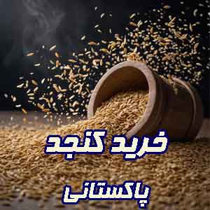 خرید عمده کنجد پاکستانی