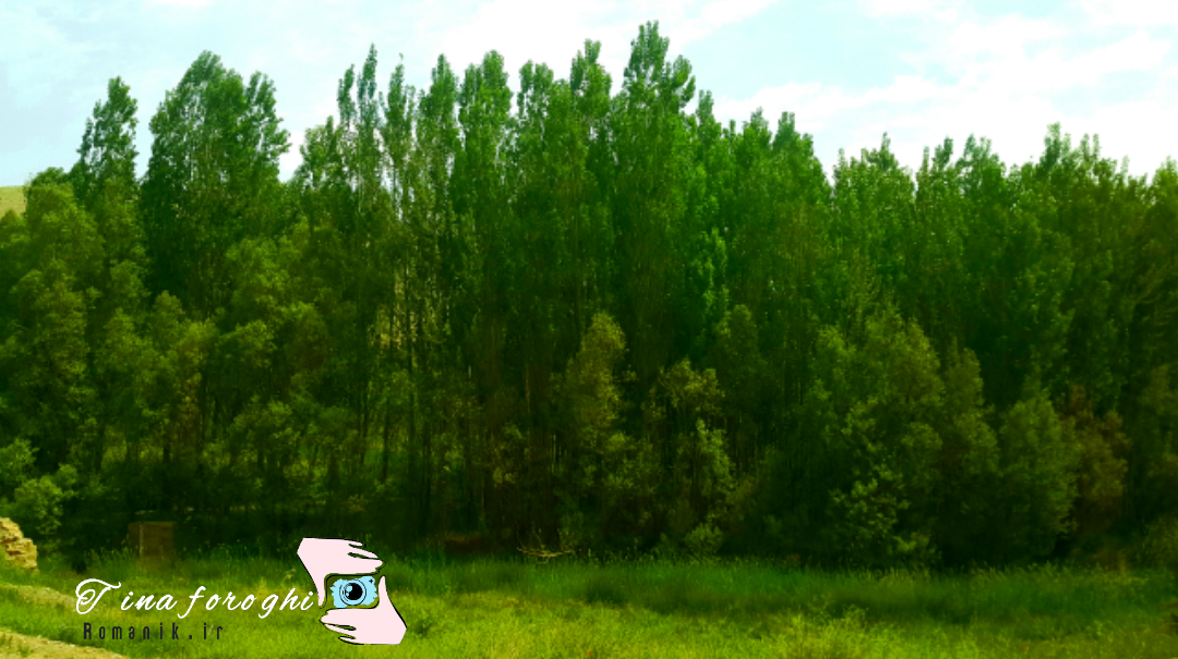 backgrounderaser_۲۰۲۴۰۷۳۰_۰۱۰۴۰۳۹۶۴_fpcn.png