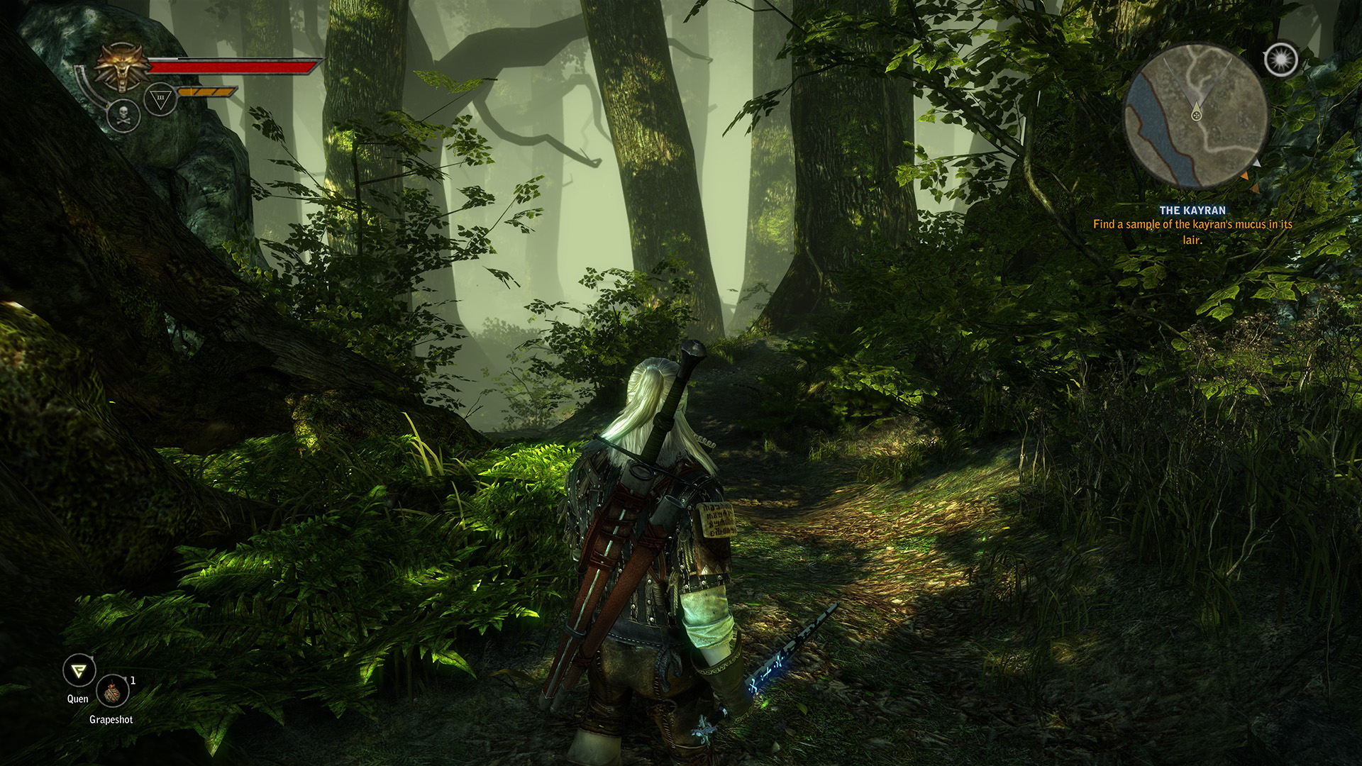 witcher 2 enhanced 4k hd geralt flotsam forrest
