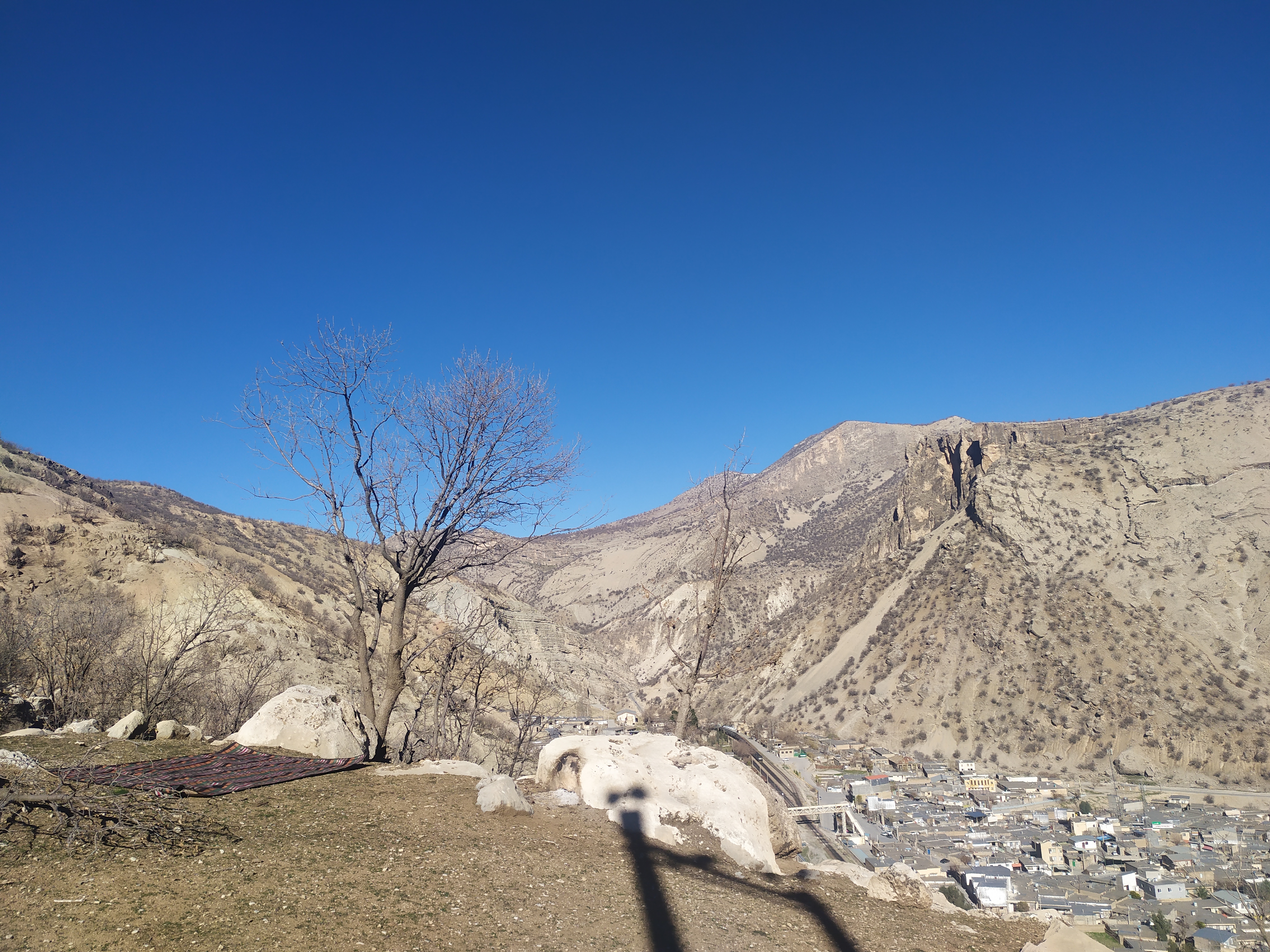 img_20220109_142312_j8l.jpg