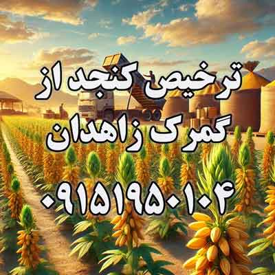 قیمت عمده کنجد پاکستانی و فرآیند واردات