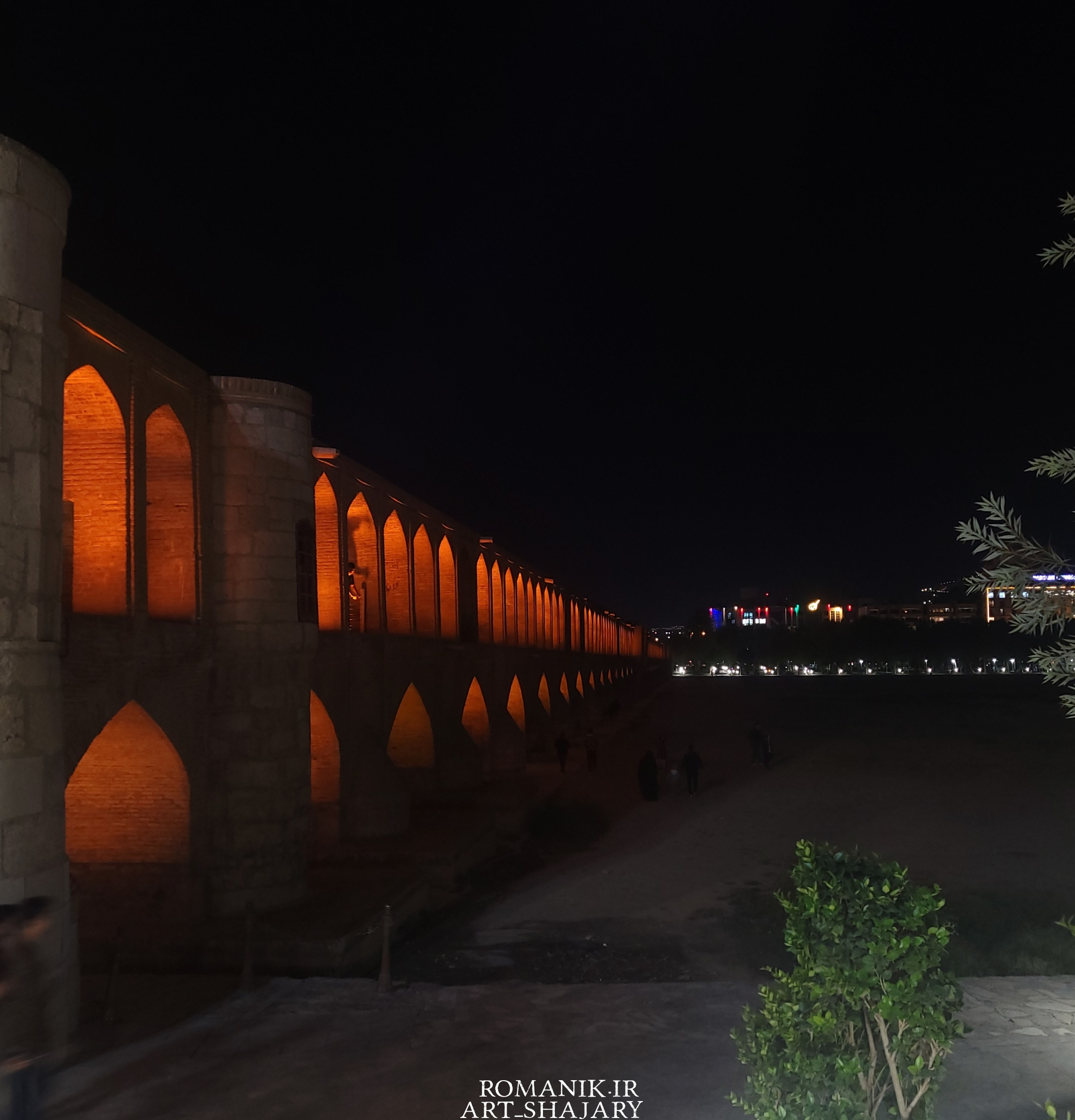 negar_1728982022606_z0ns.png
