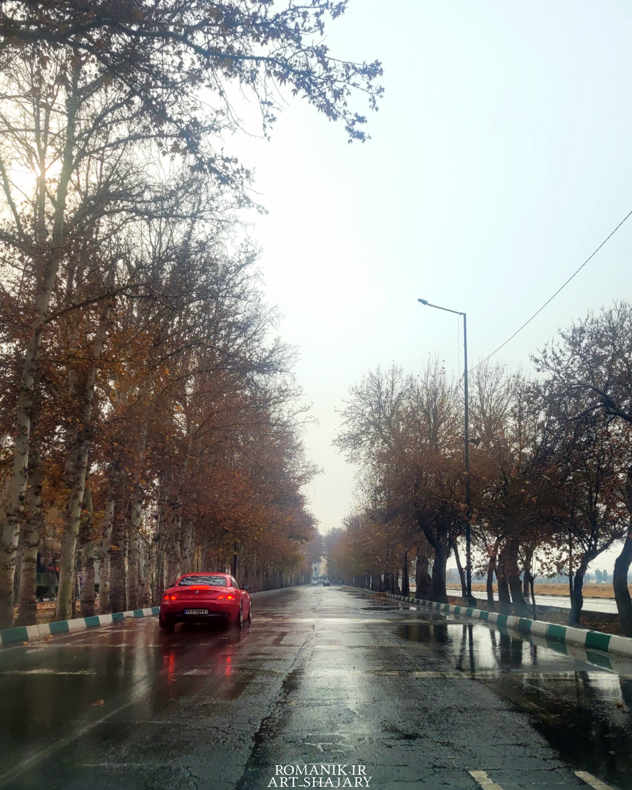 negar_1734022770907_ofh5.png