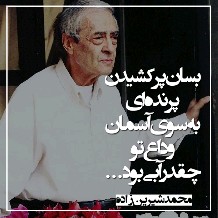 quote_1689098973658_qnbh.png