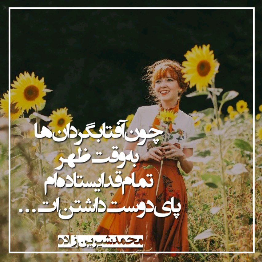 quote_1689198974682_ecc.png