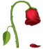 [تصویر: rose_ljdg.png]