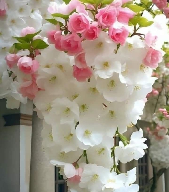 screenshot_۲۰۲۳۰۶۲۶_۲۳۰۰۴۲_instagram_8kah.jpg