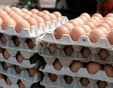 تولید ماهانه تخم مرغ به بیش از ۹۰ هزارتن رسید