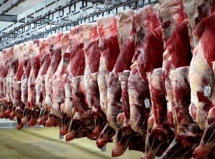 واردات گوشت در اوج تولید دام زنده