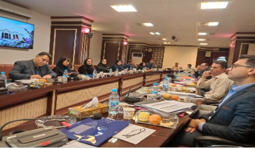 نشست مشترك مدیران ارشد بیمه دانا و شركت‌های تابعه وزارت نیرو در كرمان