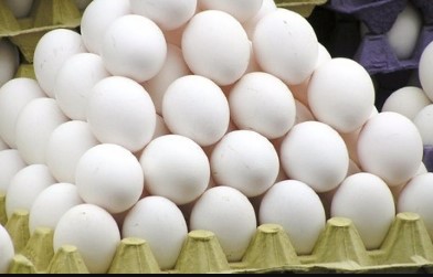 تخم مرغ ۱۰ تا ۱۲ درصد کمتر از نرخ مصوب عرضه می شود