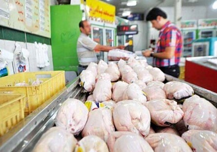 ۱۲۰ میلیون قطعه جوجه‌ریزی برای خرداد ماه/ قیمت گوشت مرغ کاهش می‌یابد