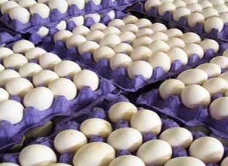 صادرات تخم مرغ به ۶۰ هزارتن رسد