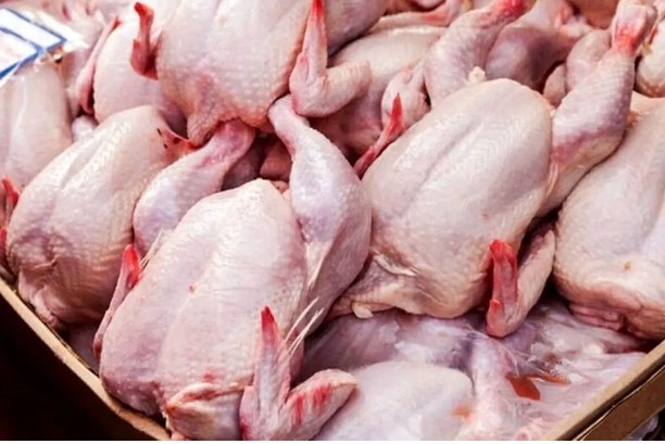 حمایت از تولید‌کنندگان داخلی با خرید بیش از ۱۵ هزار تن مرغ منجمد/ نگرانی در تامین، عرضه و توزیع مرغ در ماه رمضان و ایام عید وجود ندارد