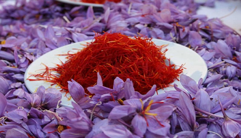 ماهانه ۱۰ تن زعفران بی کیفیت قاچاق می‌شود