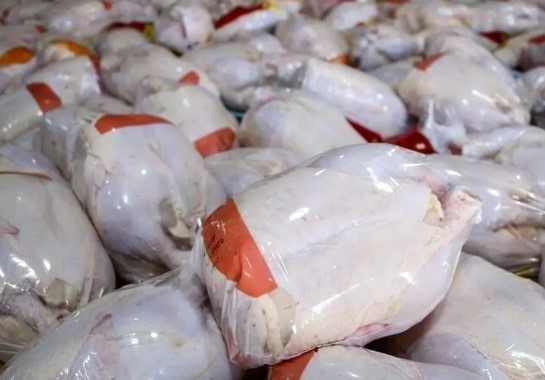 بازار دائمی صادرات ۱۵ میلیون قطعه‌ای مرغ/ ظرفیت تولید داخل مهیای ورود به بازارهای منطقه
