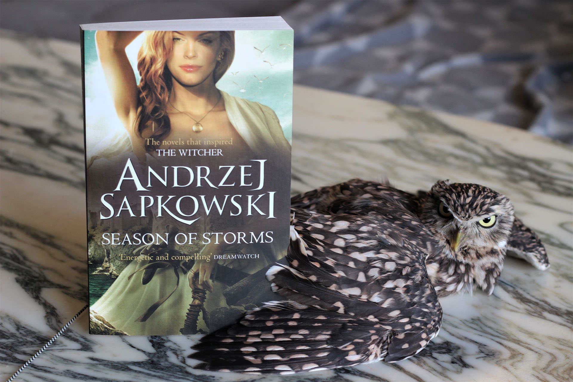 کتاب ترجمه فارسی Season of Stroms ویچر