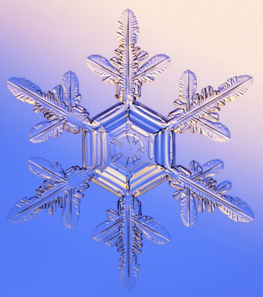 snowflake1_1_czus.jpg